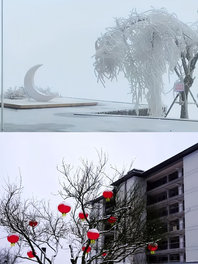 泸州小眾看雪地｜羅漢林泸州之巔 一起來堆雪人