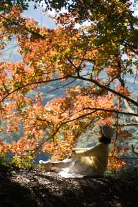 石門公園很秋天但是聽勸別來…