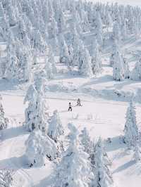 日本>山形藏王冰樹，滑雪攻略