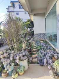 普洱天竿箐村的一家民宿