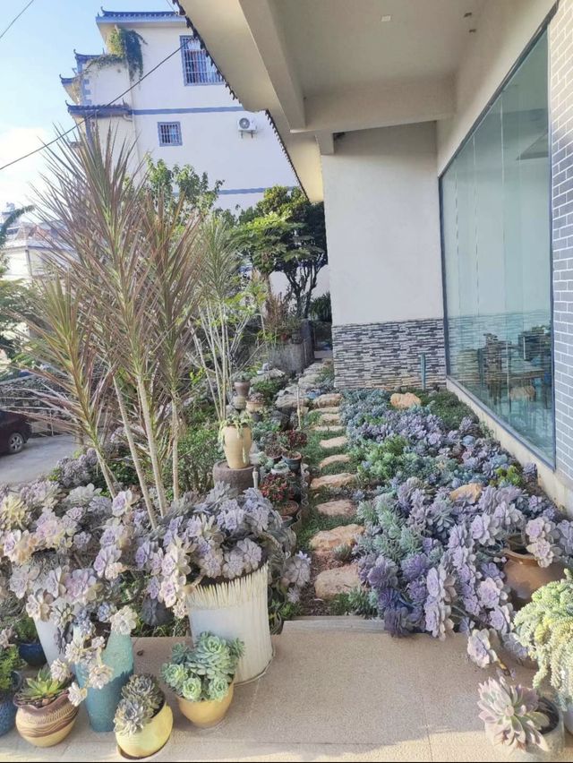 普洱天竿箐村的一家民宿 普洱天竿箐村的一家民宿