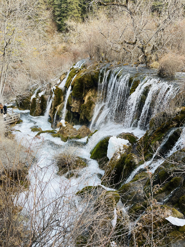 山是水中畫，水是山裡魂—九寨遊記一