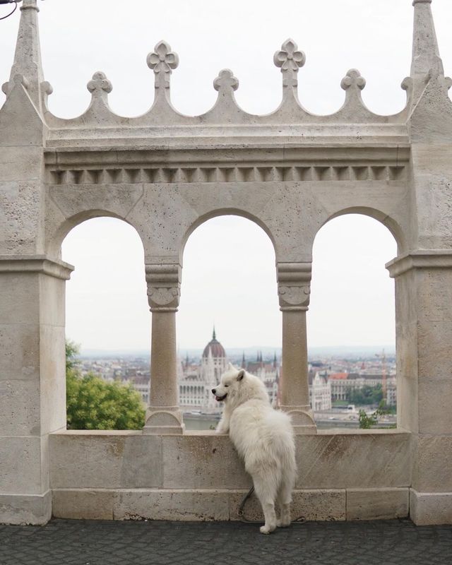 😍❤️ From historic landmarks to stunning scenery, Budapest has something to offer for everyone.