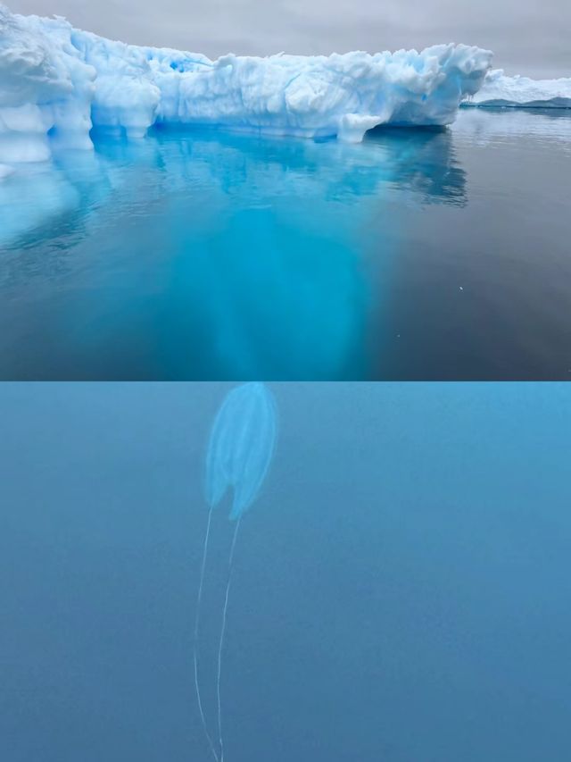 在南極找到了live圖的意義 世界盡頭的樣子