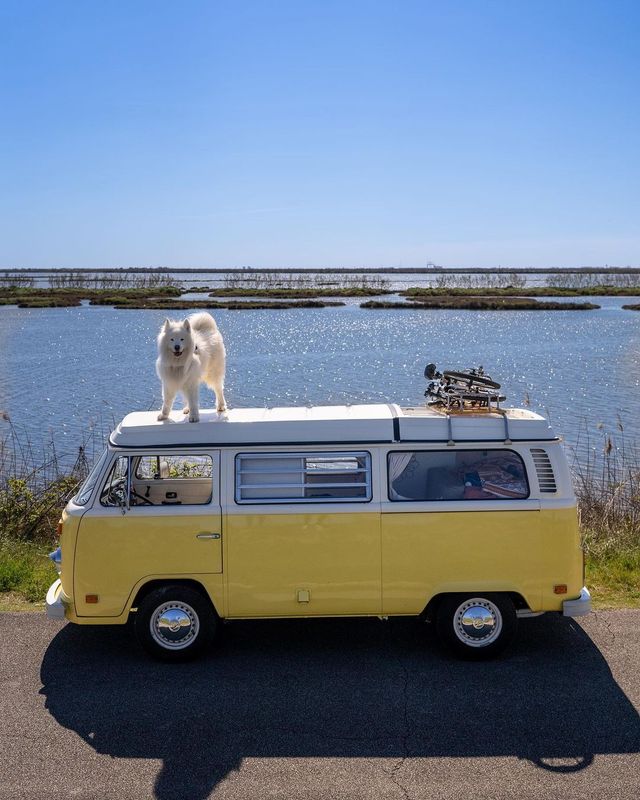 Felix & Daisy Explore the Perfect Easter Weekend Getaway! 🚐🏖️"