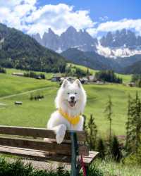 Discover the Magic of the Dolomites: Which Postcard is Your Favourite? 🇮🇹😍