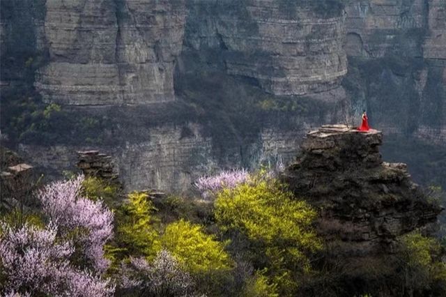 中國這個隱秘賞花地，山水遠超桂林~