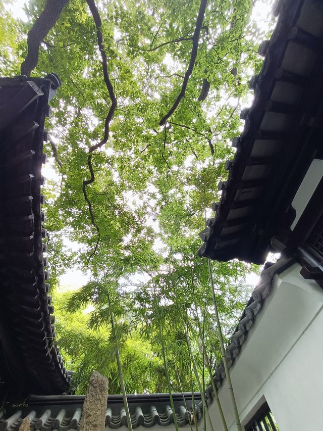 繁華靜安寺，幽靜八景園