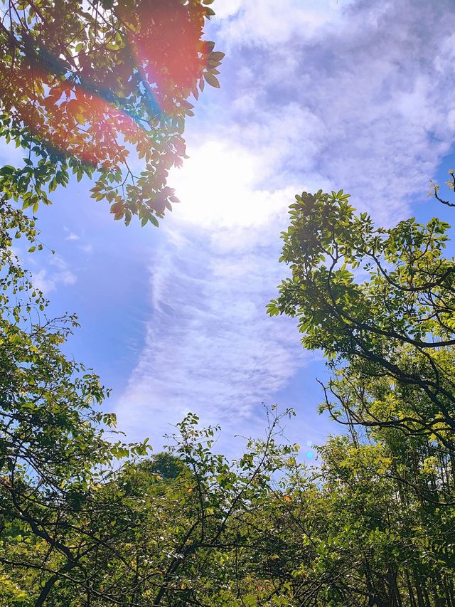 廣東廣州六片山|廣州現在這個天氣爬山真的好舒服