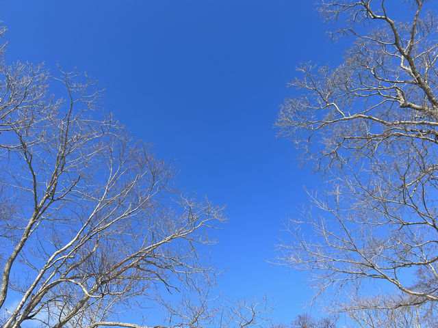 北海道8日自駕路線推薦