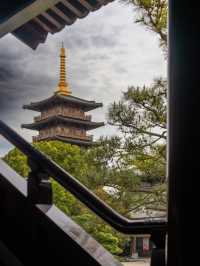 寺廟漫遊 | 上海唐風寶山寺打卡拍照攻略