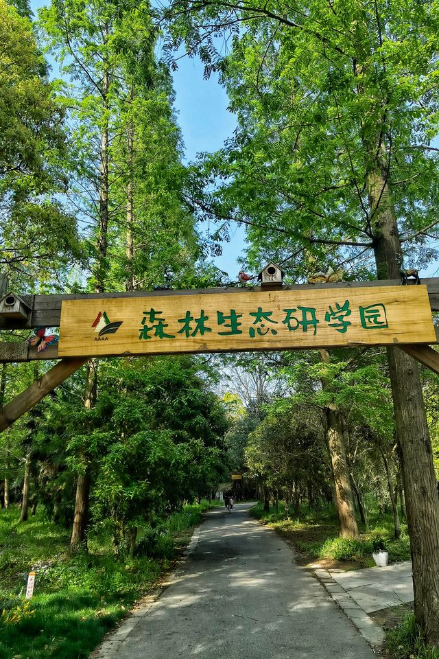 東平國家森林公園