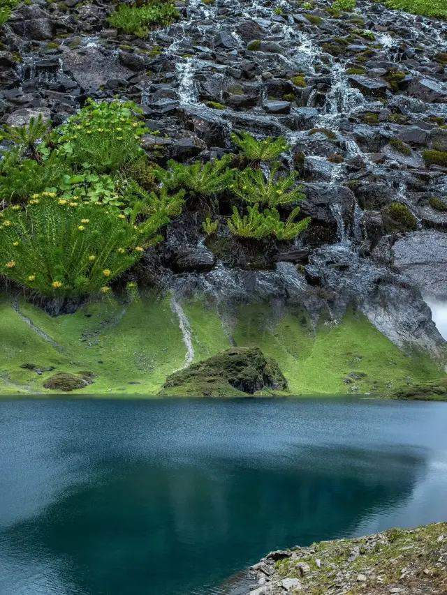 Antarctica Luo | Stay away from the crowd, go listen to the wind in the wilderness