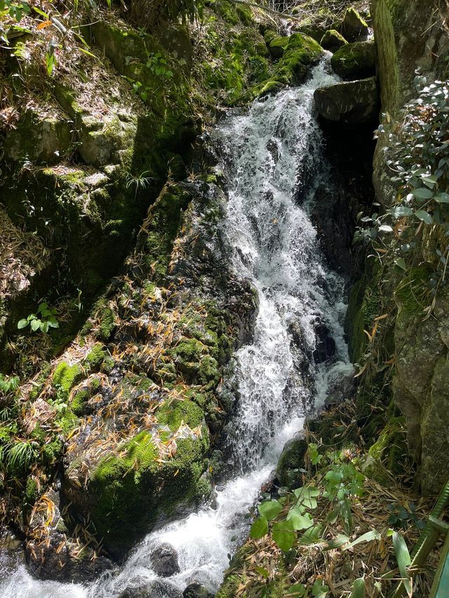 湖州臧龍百瀑｜寄情山水 探秘自然