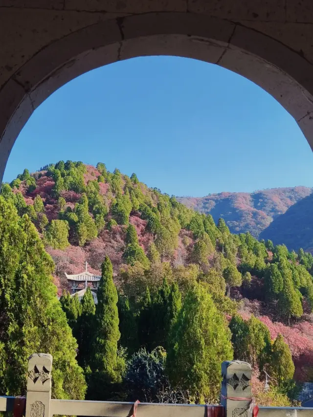 Jinan Red Leaf Valley - The autumn of 'Jiangbei Jiuzhaigou' is too beautiful