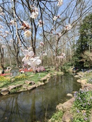 踏春南京中山植物園