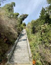 清涼若蘭的「開化寺」