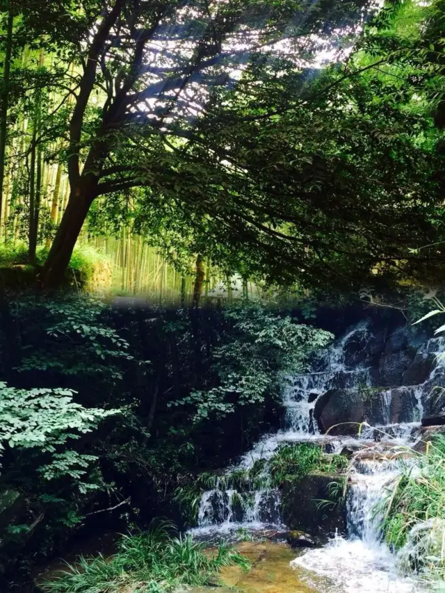 山を登る必要はありません、莫干山で夏を避けて水遊びをするためのこの記事だけで十分です