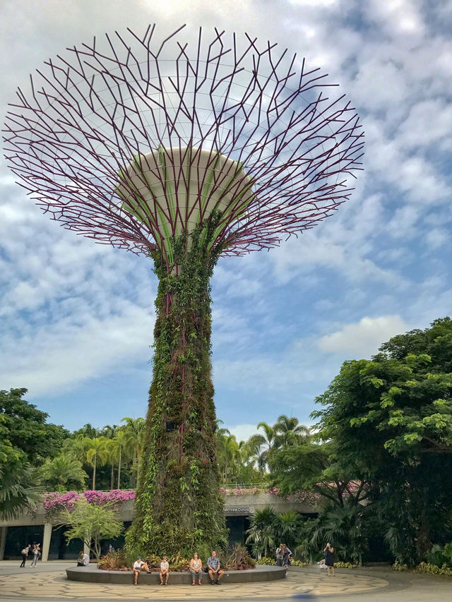 滨海湾花園｜新加坡花園城市形象代表