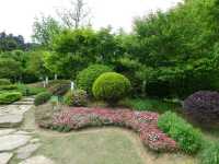 鮮花山谷——登高雲山·雲谷花境