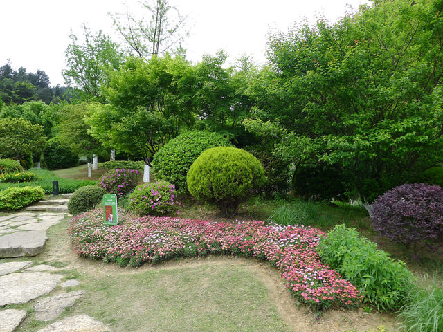 鮮花山谷——登高雲山·雲谷花境