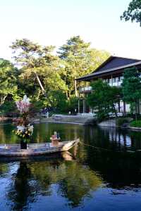 名古屋賞櫻