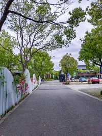 走進上海生態鄉村丨崇明瀛東村