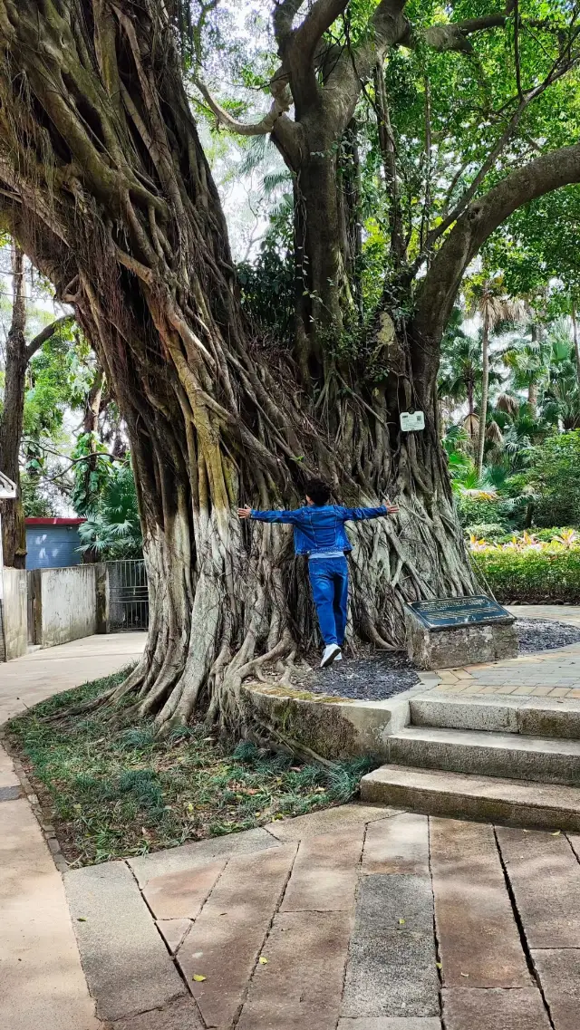 民國第一任總理唐紹儀的私家花園——珠海共樂園