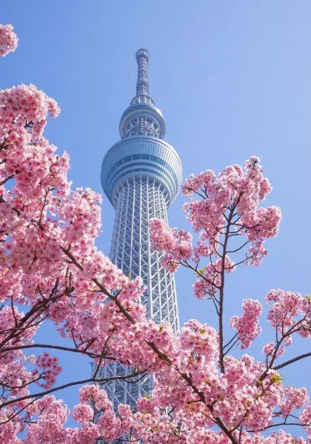 日本の晴れの空の塔：東京スカイツリー