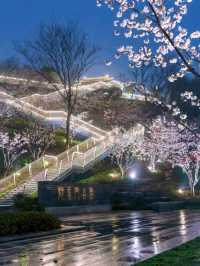 Jiming Temple and Cherry Blossom 🌸❤️