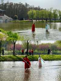 紫色春日——兴化李中水上森林公園