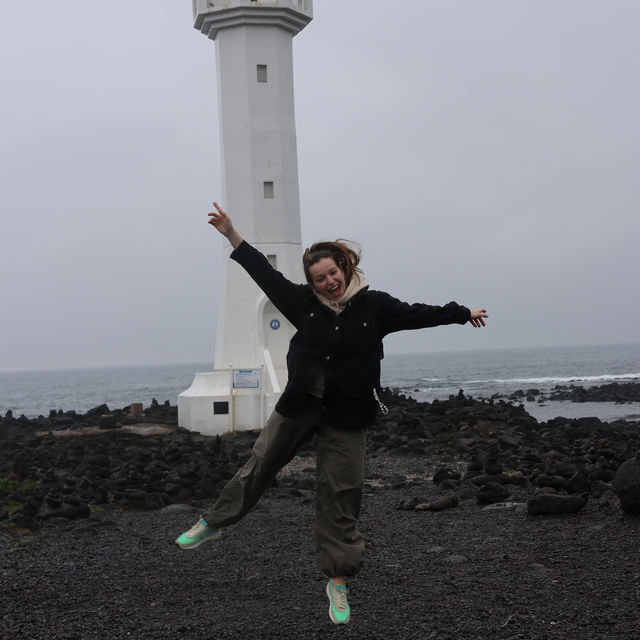 A Cow island of Jeju 🐄🏝️