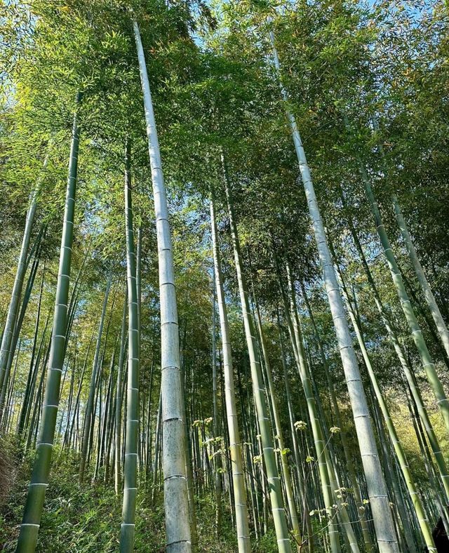 熱門熱門