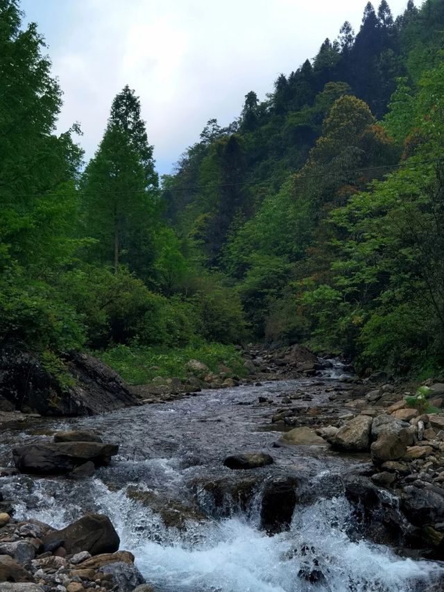 在大邑云華村的深山裡隱藏著一條清澈見底的溪流，溪水晶瑩剔透