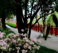 福州琴亭湖公園：都市中的寧靜綠洲