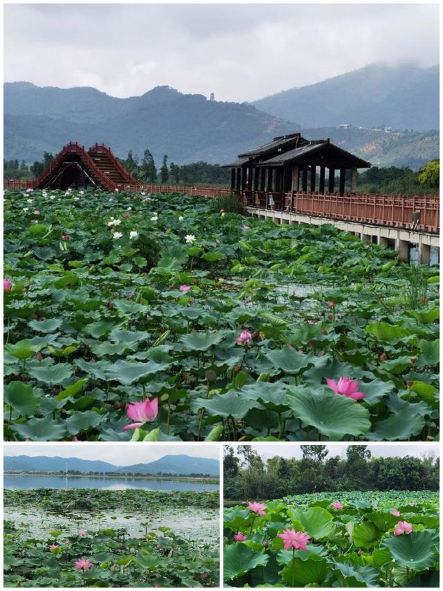 石屏異龍湖