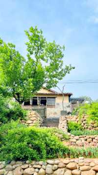 山口凌，步入這裡，便步入了田園詩意