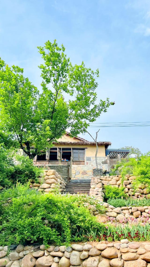 山口凌，步入這裡，便步入了田園詩意