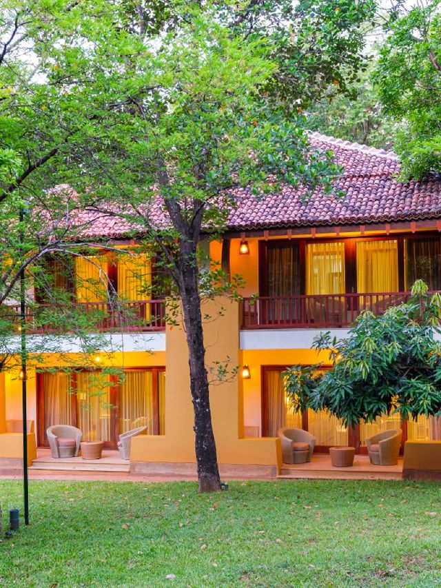 🌟✈️ Dambulla Dreams: Discover Sri Lanka's Amaya Signature! 🏨🌴