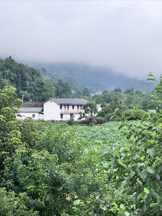 Known as the Guinness World Record holder - Yaoxi Village