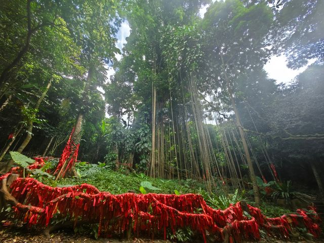 百花嶺，是一個想去一次還想去第二次的地方