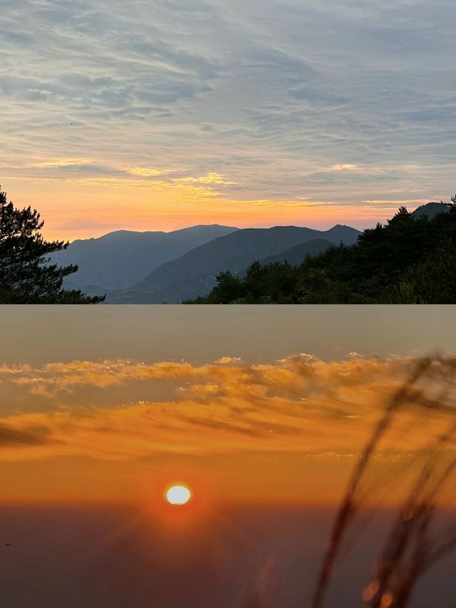 建議!別去杭州太子尖看雲海日出因為去了之後