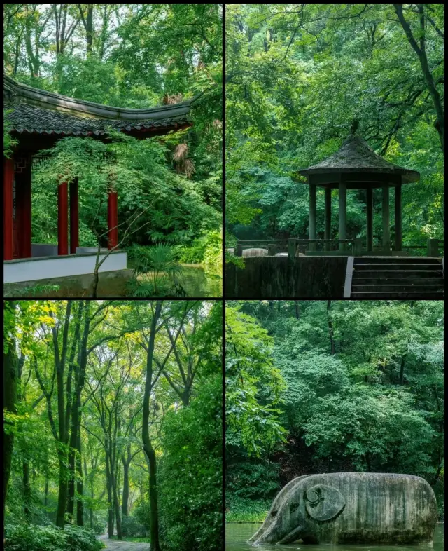 雨後找到南京的言葉之庭，只有本地人知道