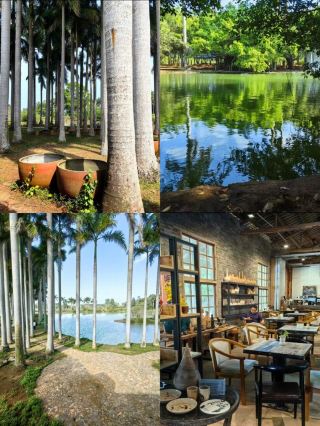Chengmai | citywalk One-Day Tour (with Four Check-in Spots)