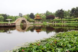 來這個公園打卡現實版莫奈花園
