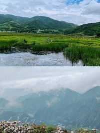 逃離酷暑，就來這片20℃的打卡聖地——越西