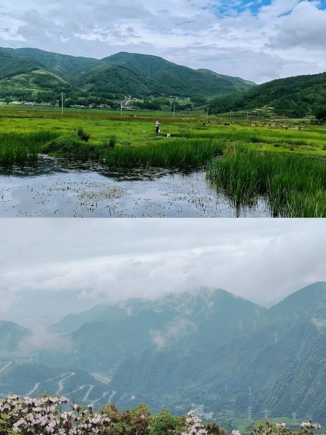 逃離酷暑，就來這片20℃的打卡聖地——越西