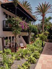 🌟 Canary Islands Bliss: Top Hotel Picks! 🏖️✨