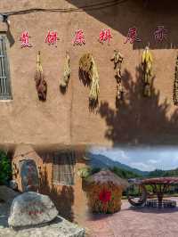 探秘椿樹溝，一場與自然之美的浪漫邂逅