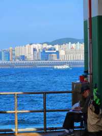 【香港紅磡一日遊】紅鸞道至尖沙咀：維港美景，落日飛車